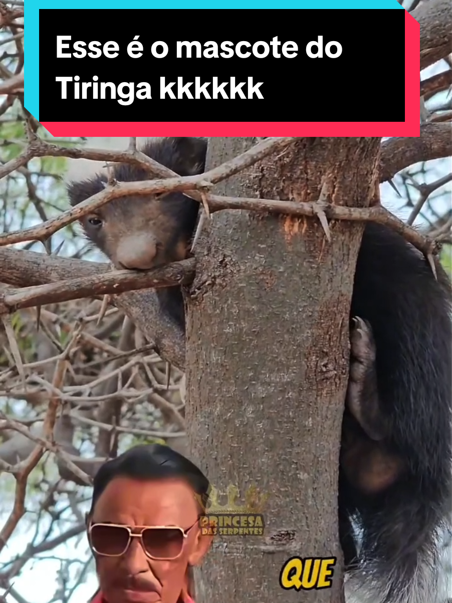 @Princesa das Serpentes