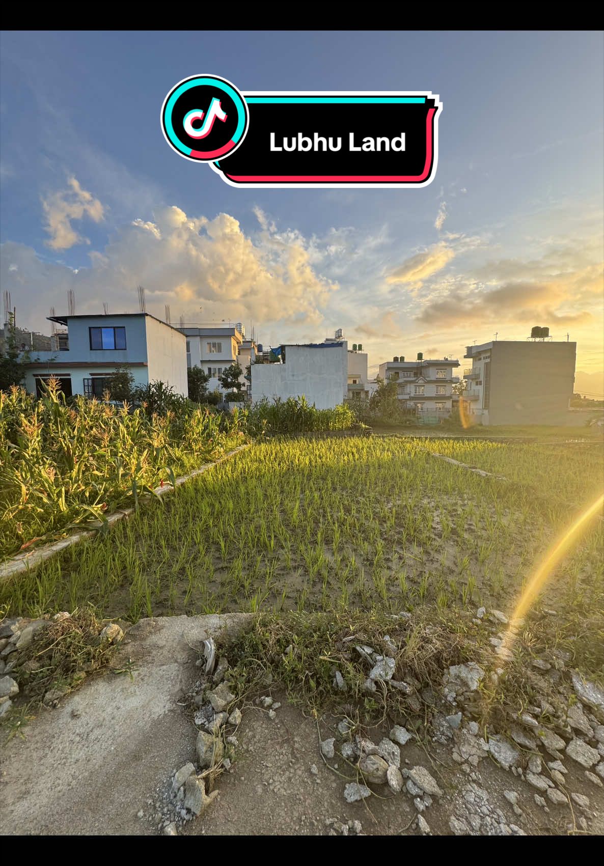 @Dd_Baini Real Estate
