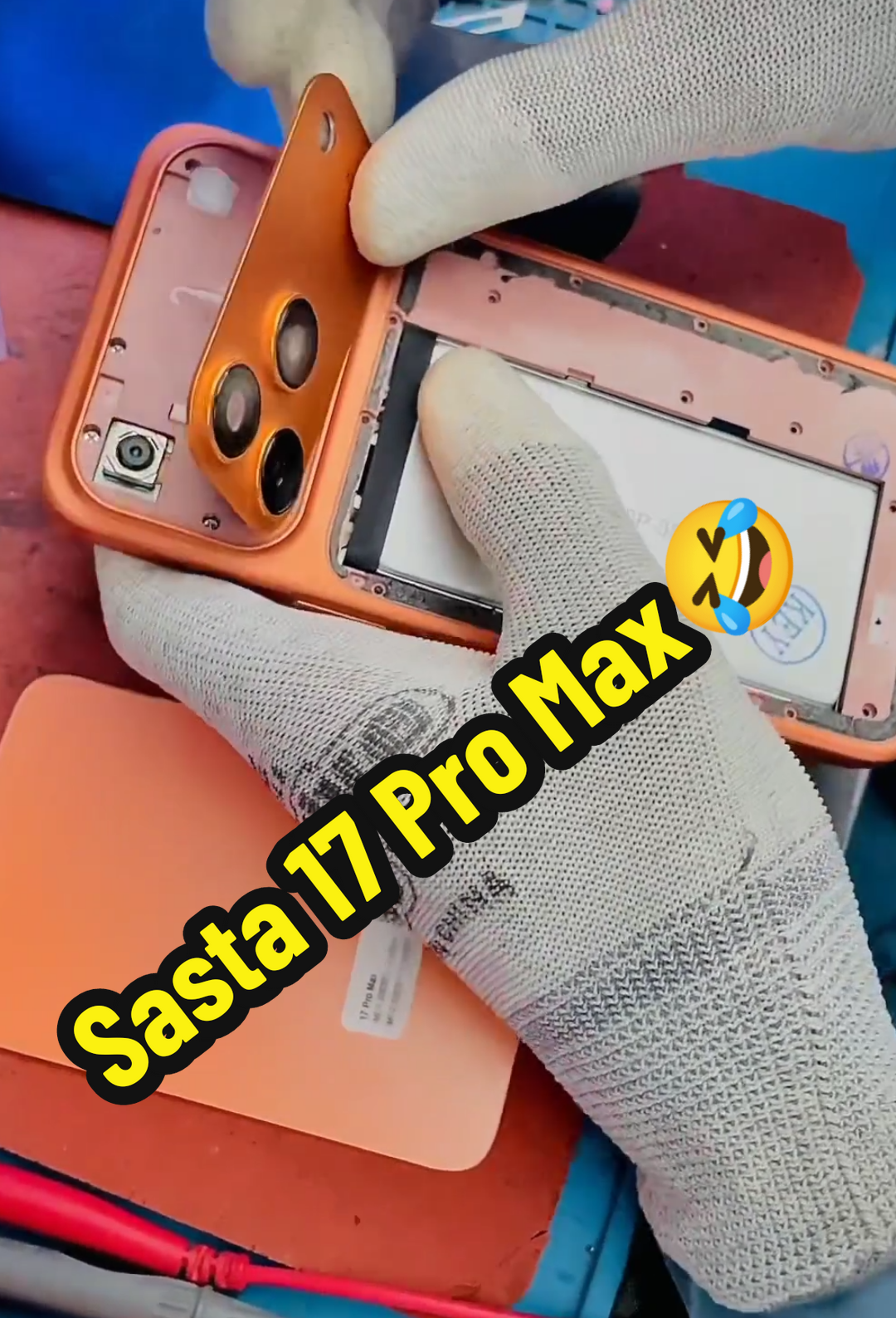 @mister.mobile.zone