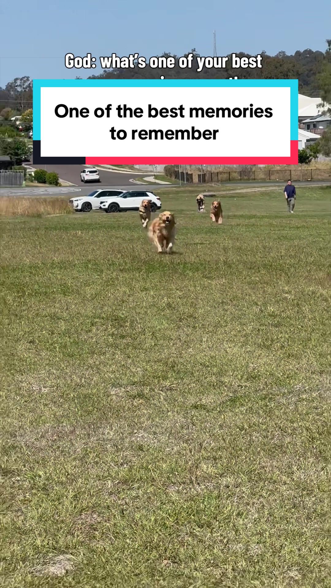 @3goldenretriever