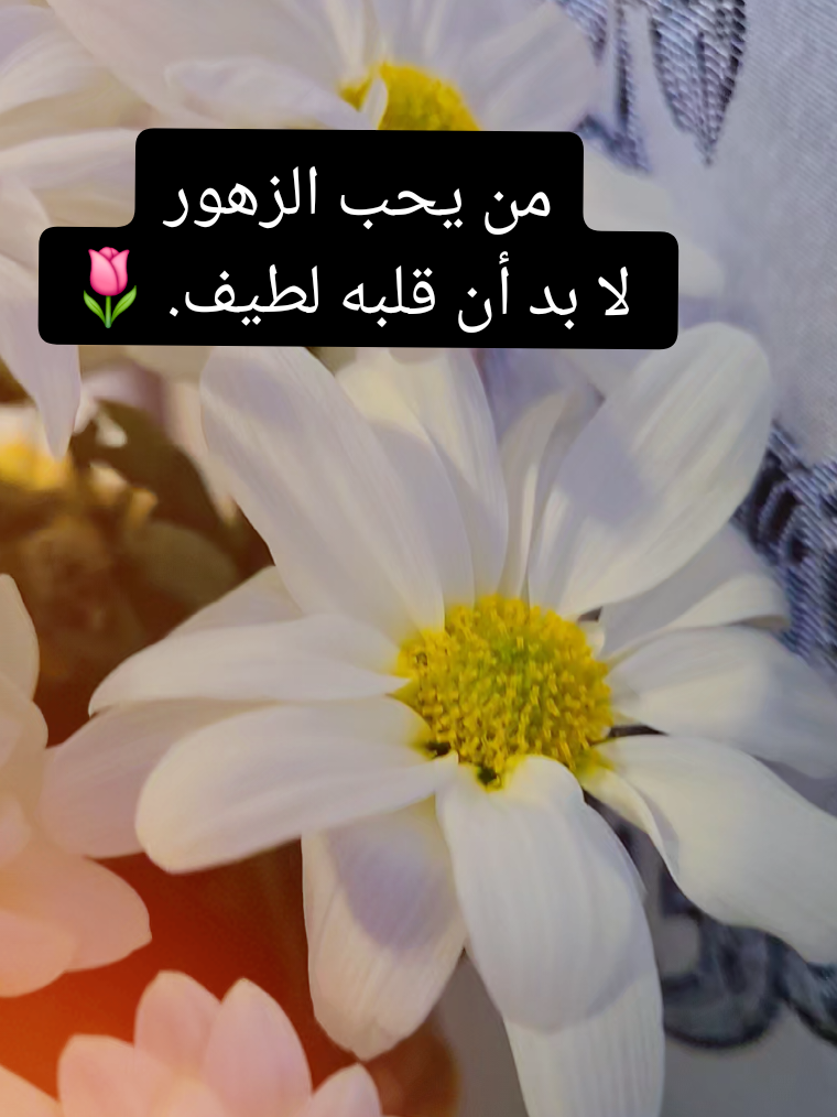 @🍃🌸Tahani Khafas🌸🍃