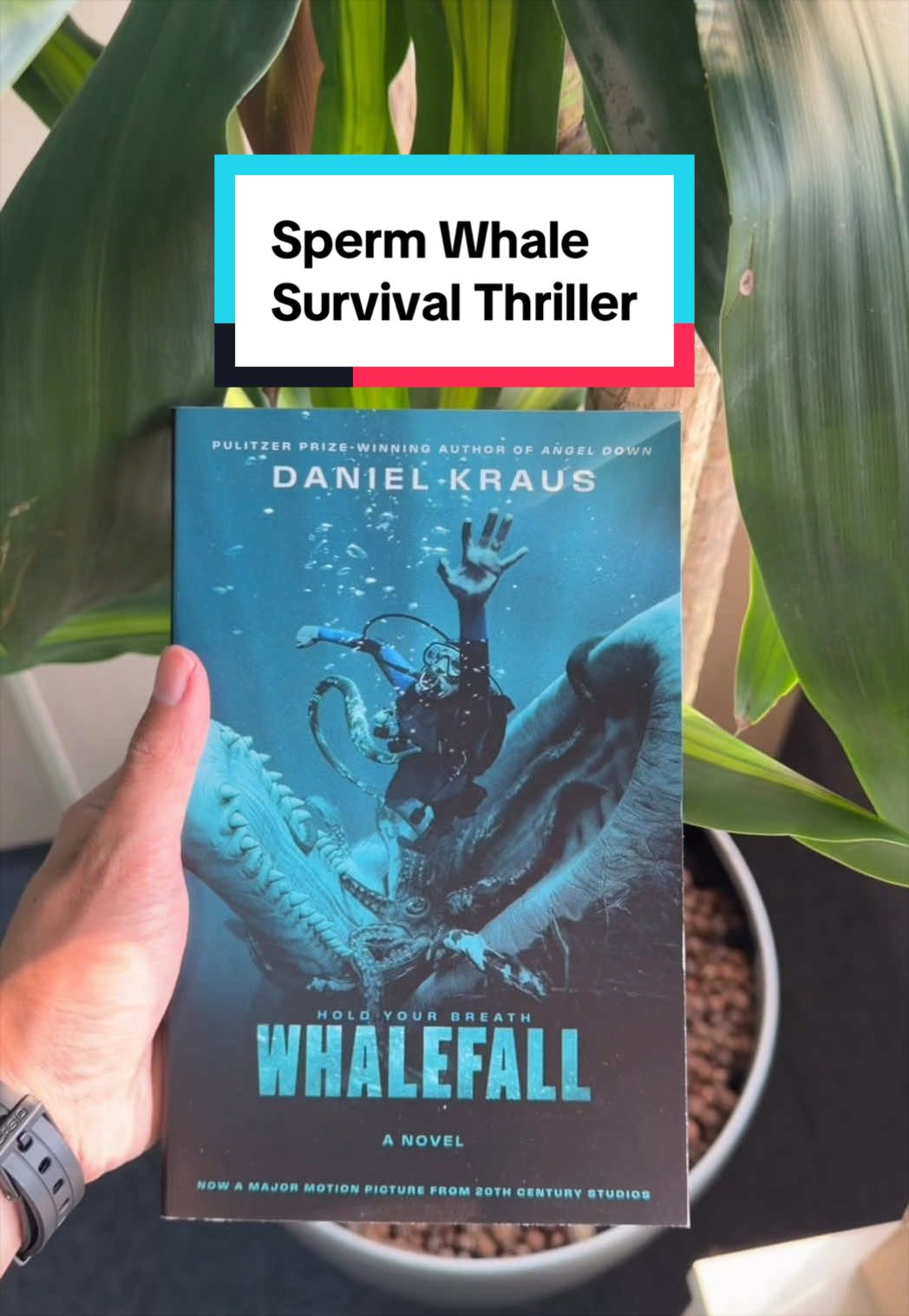 @DefinitelyBooks