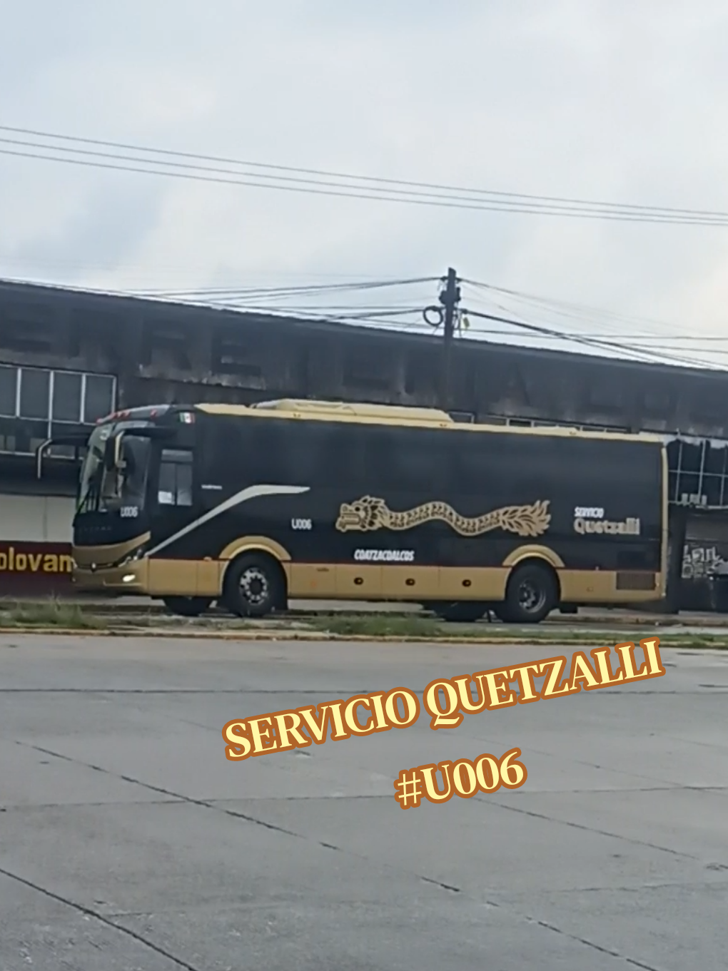 @Busologia Veracruzana 🍀🚍