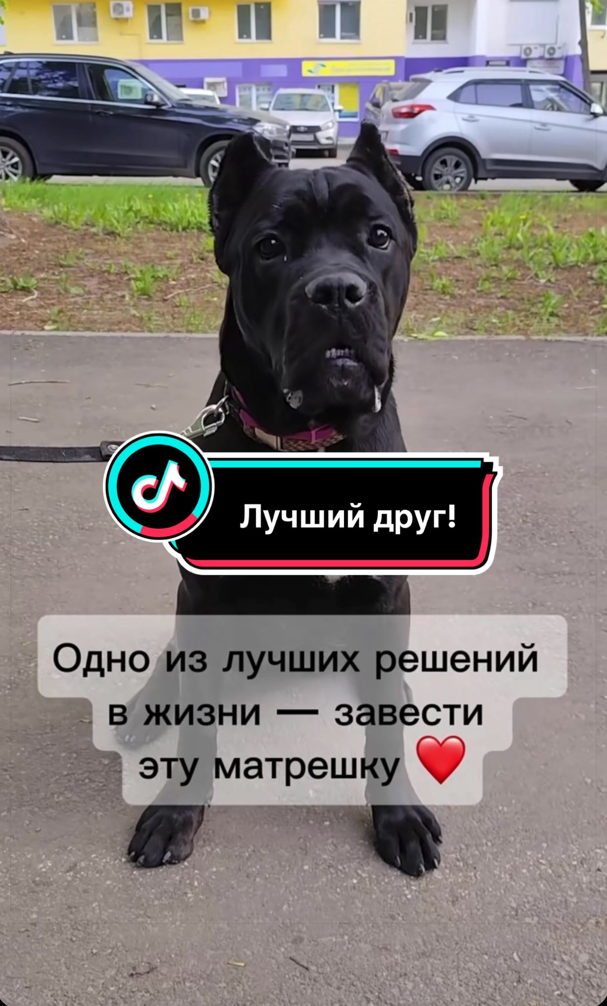 @Саня Пагон &clubs;️
