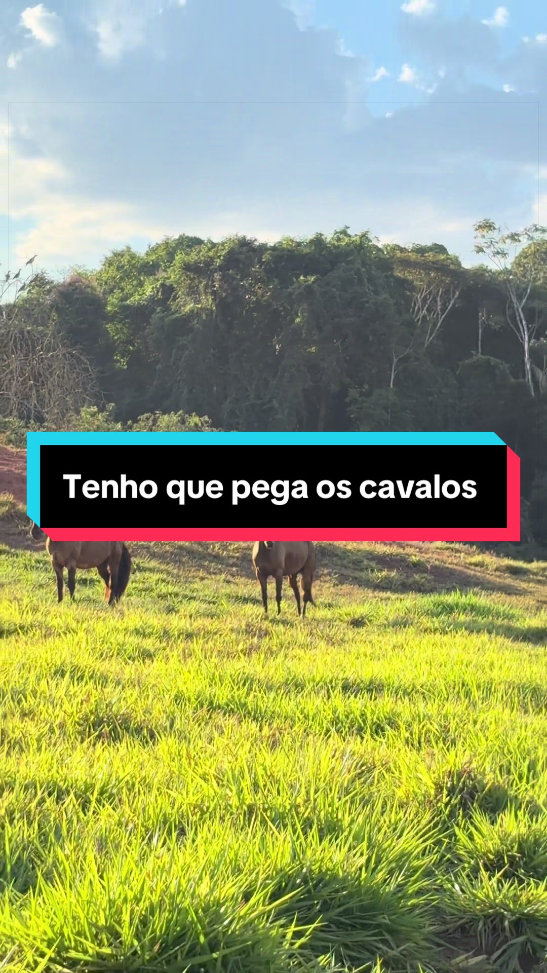 @🍀Santos🚜