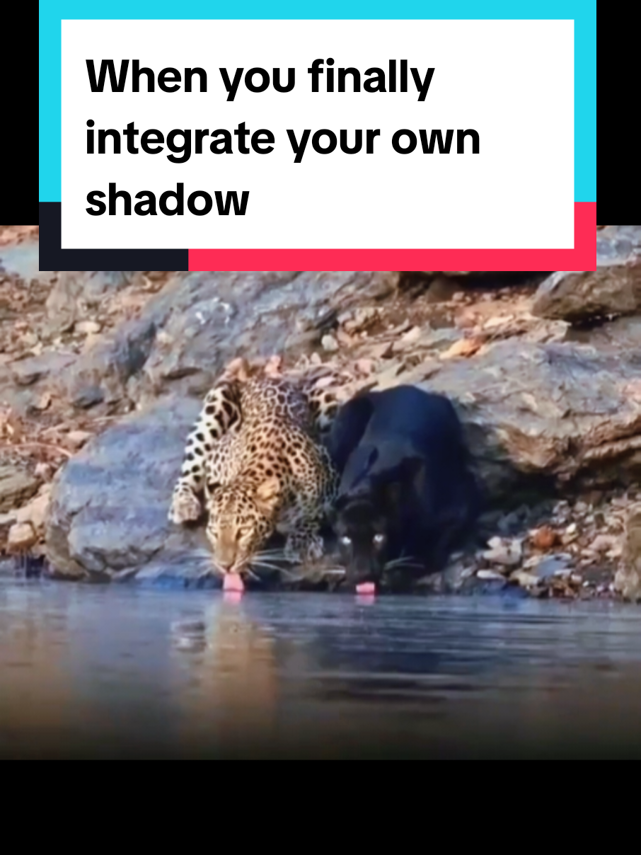 @Psychedelic Integration Coach