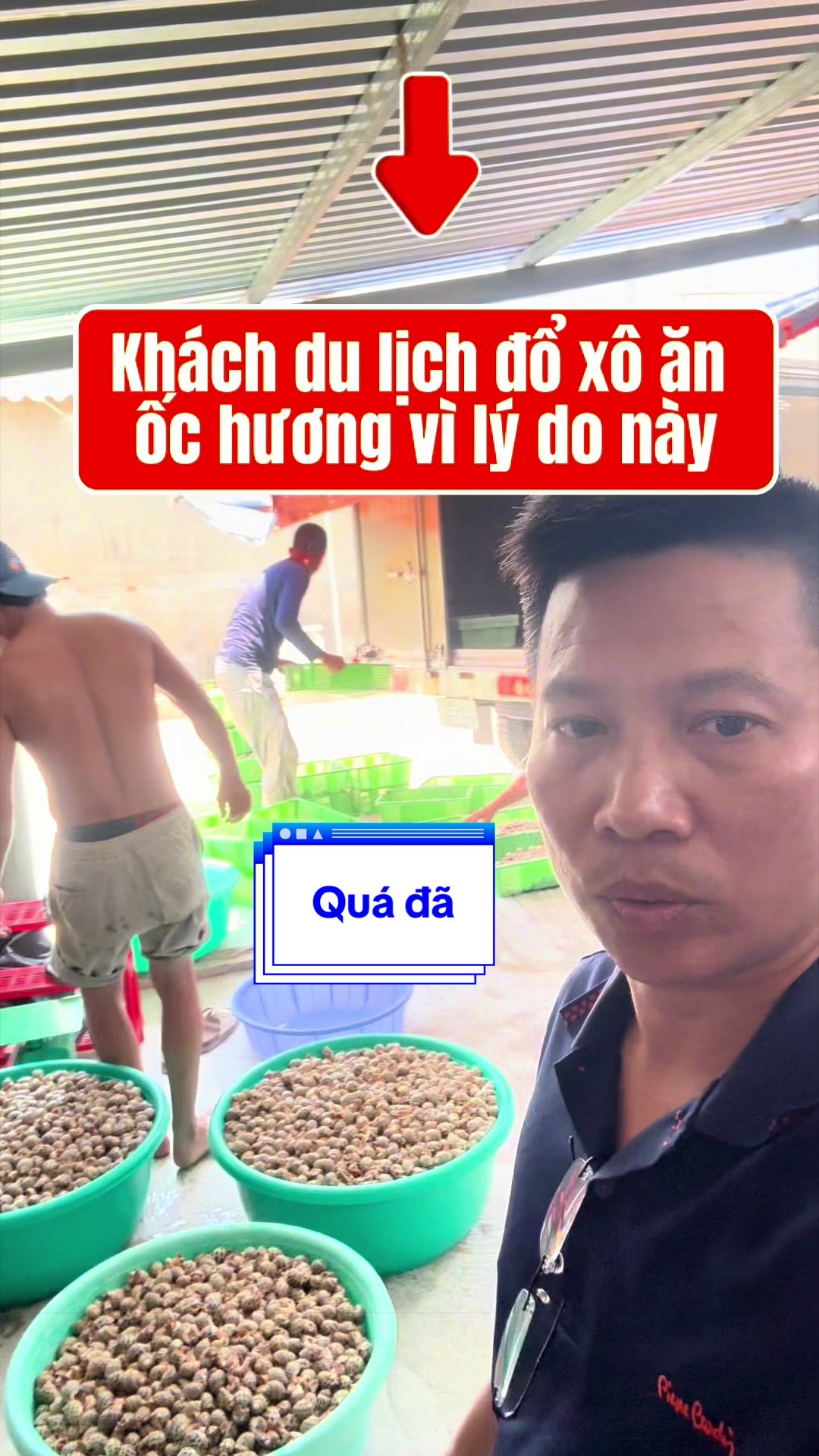 @Mr Qu&acirc;n