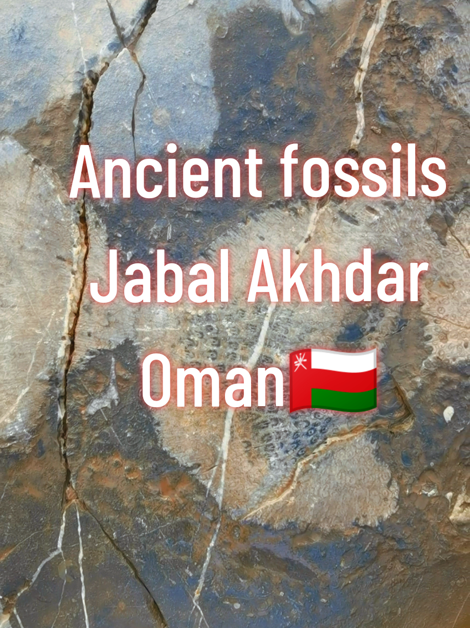 @Jep Explore🇲🇾🇴🇲