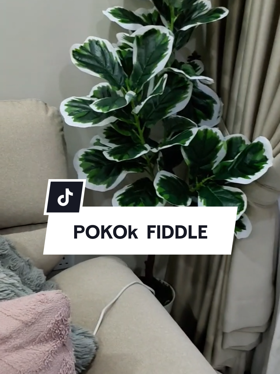 @zueida Finds