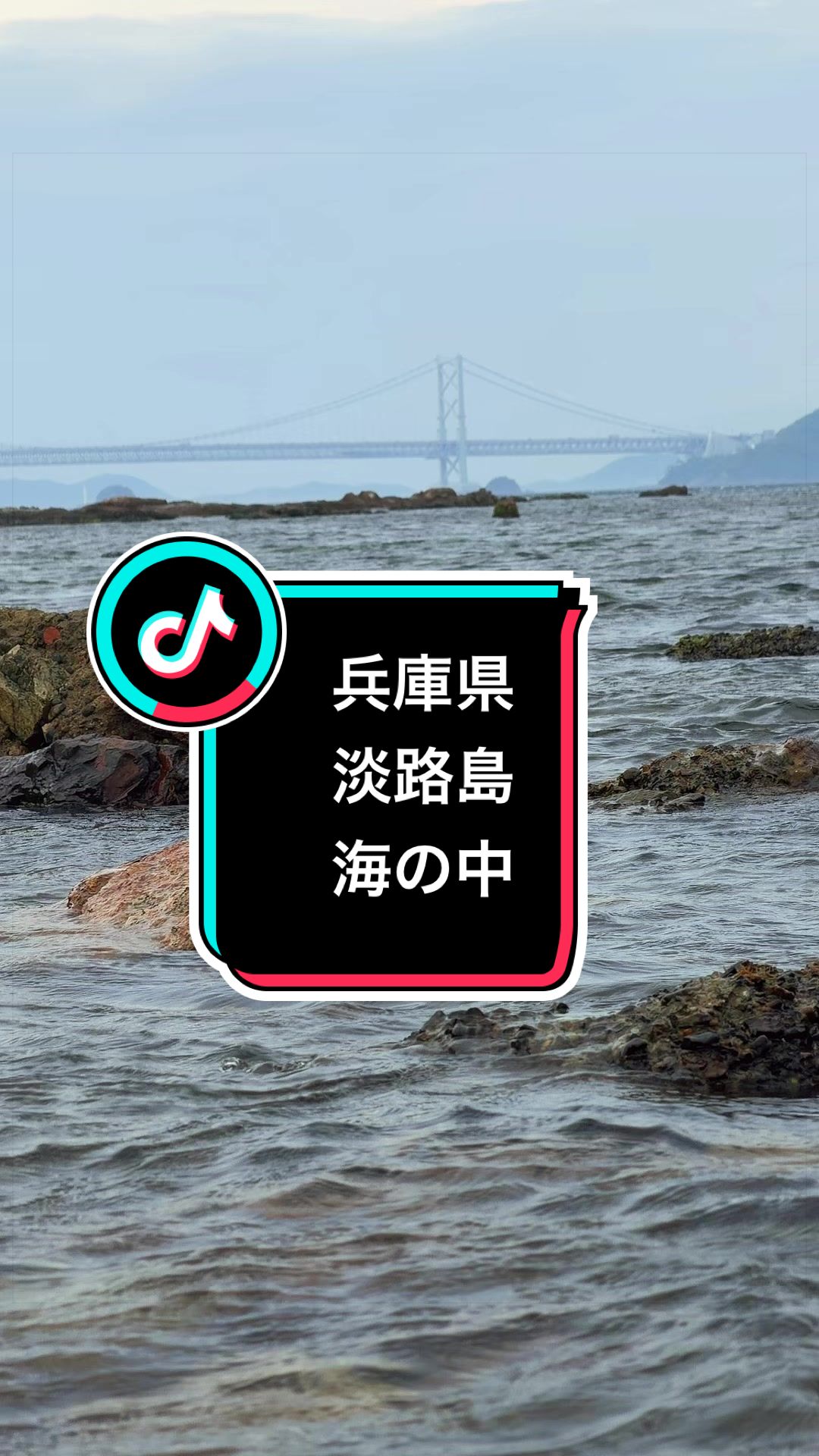 @fumi📸3776🖼️