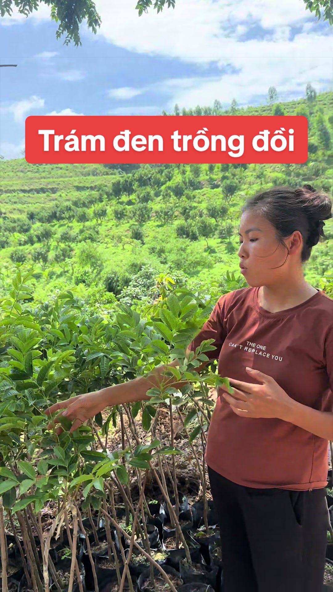 @Nh&agrave; Vườn Vũ Mai
