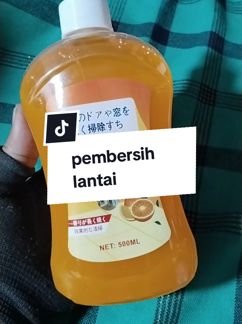 @WONK CEDAL R