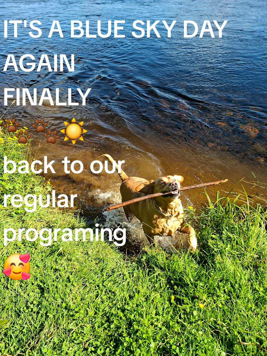 @Dogmom
