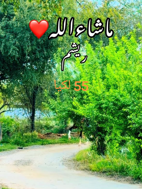 @🐴❤️🔥