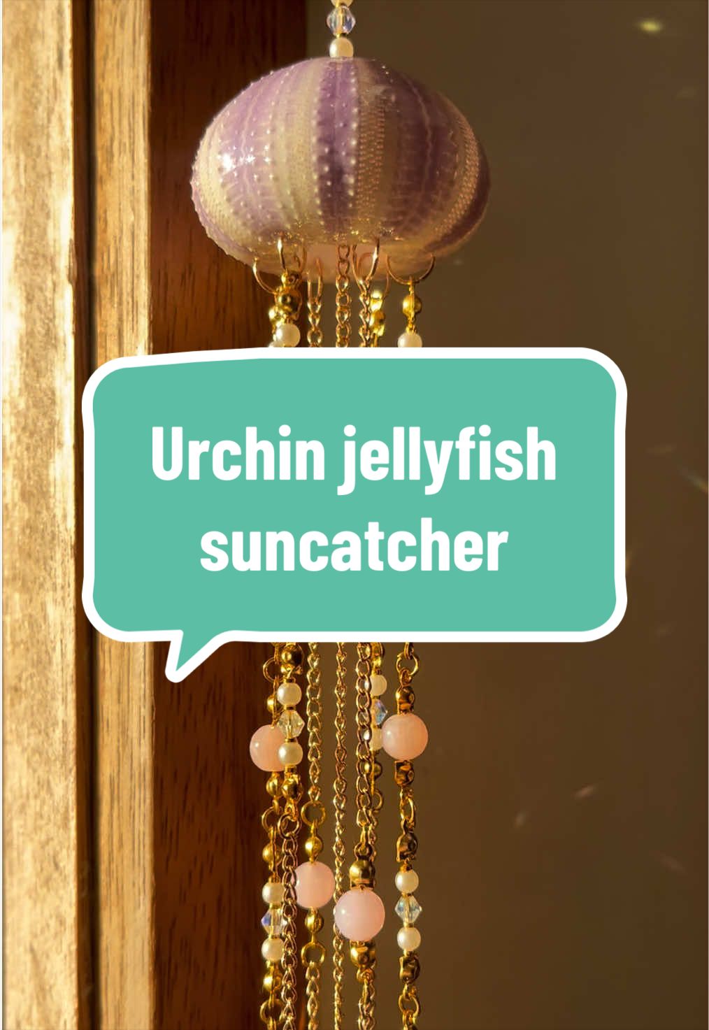@Dusty J Designs | Shells