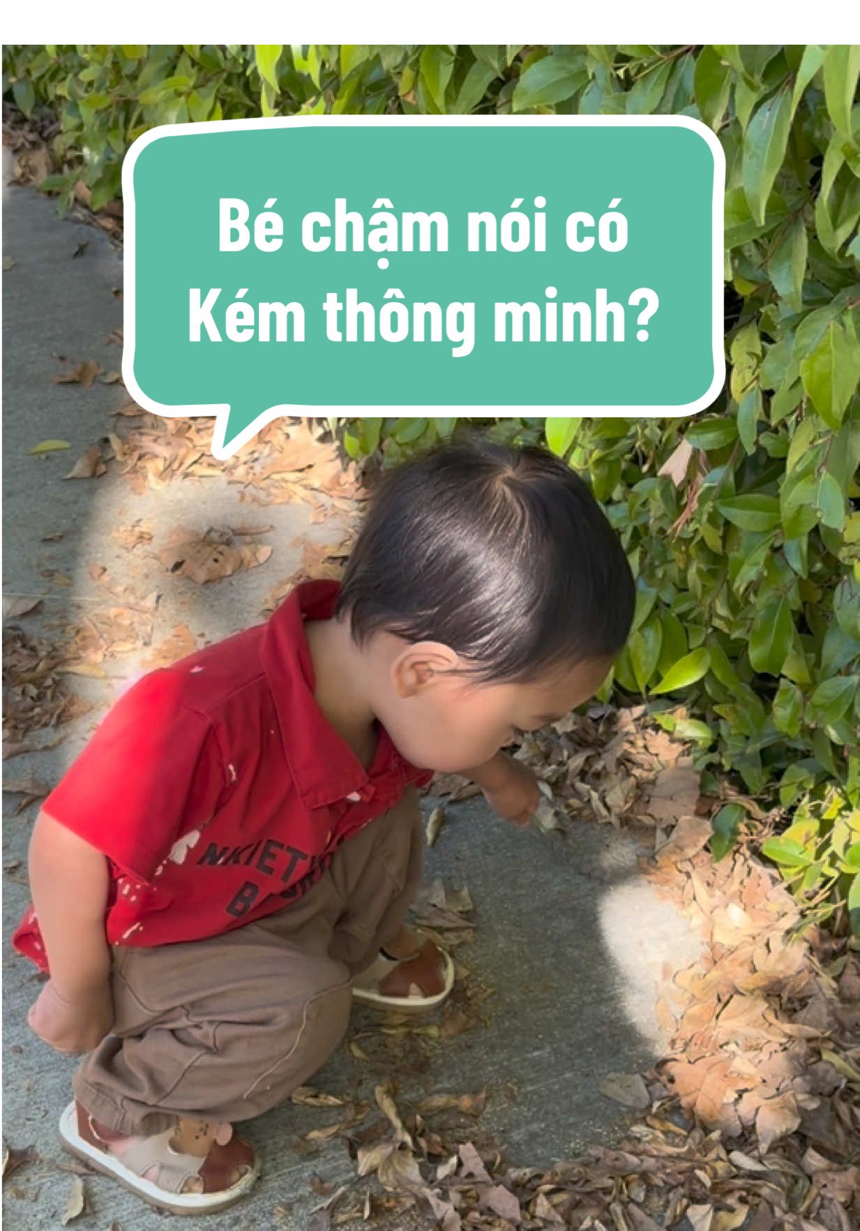 @Mẹ Pi| B&eacute; Biếng Ăn, Chậm N&oacute;i