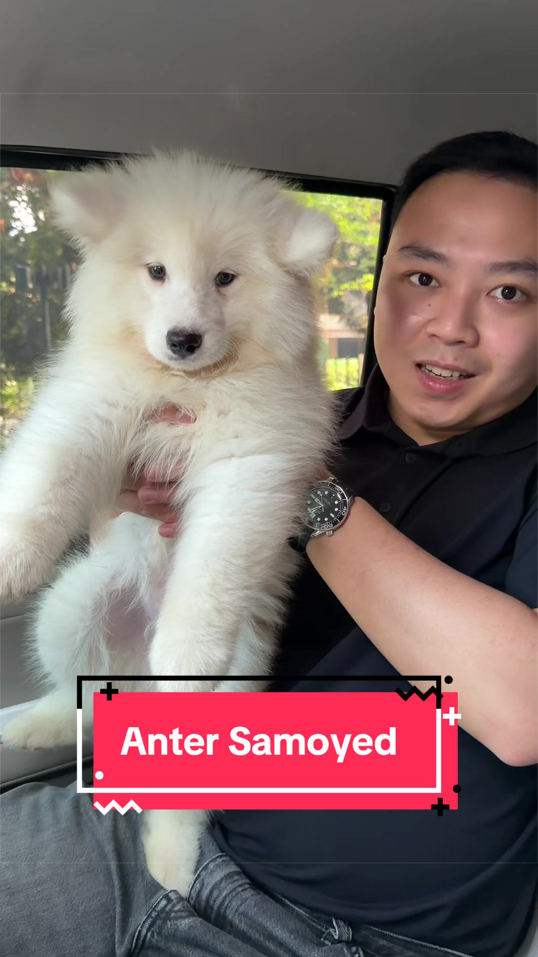 @Koko Guguk