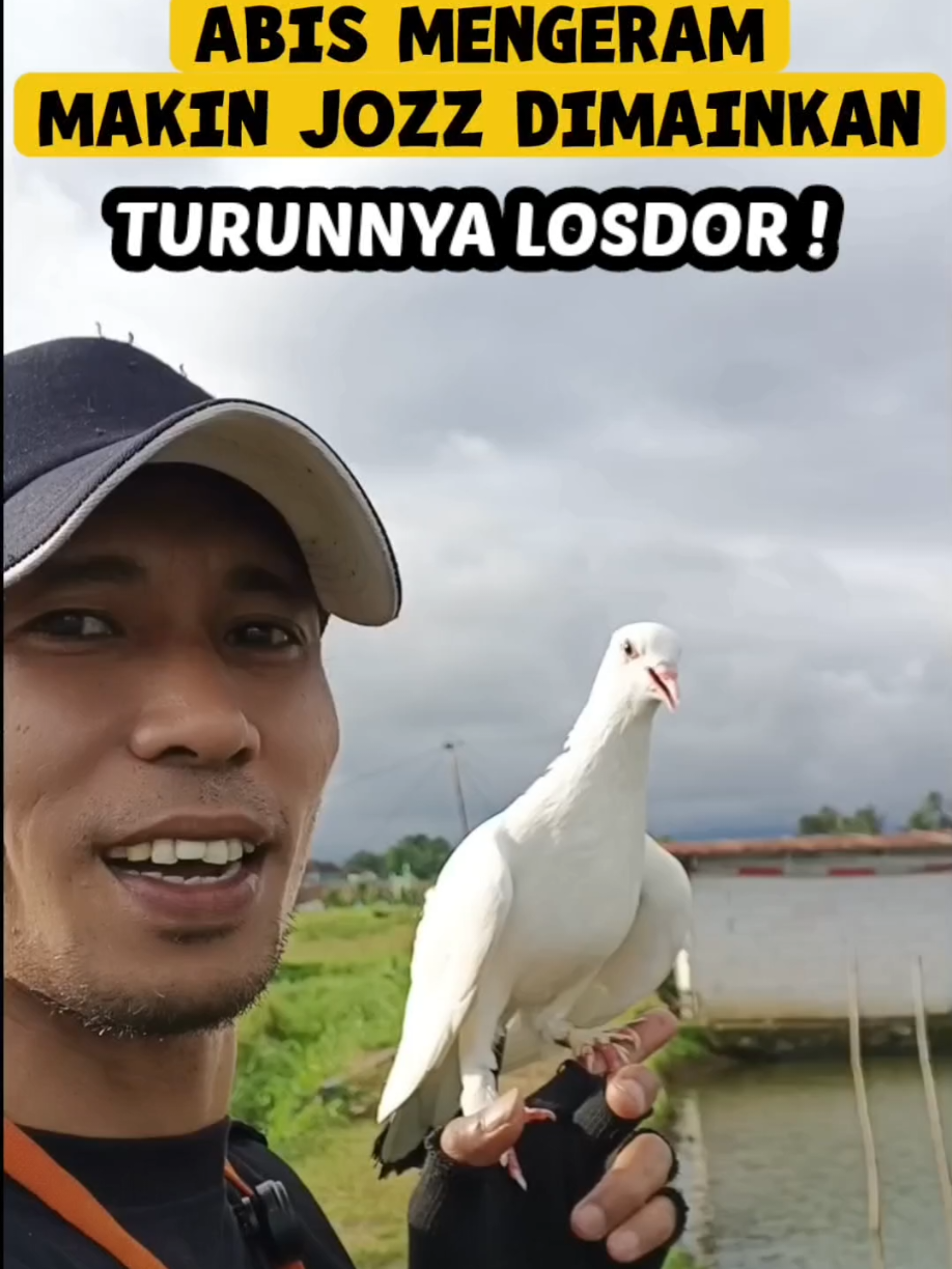 @BANG LEYON