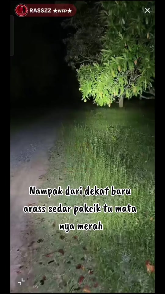 @Nana 💞