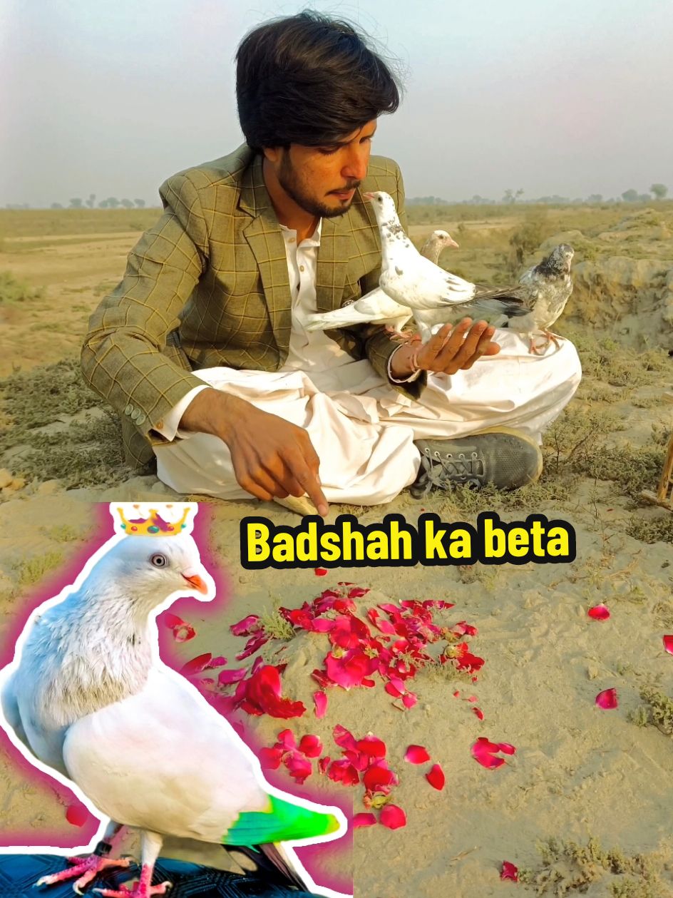 @Usama tunio