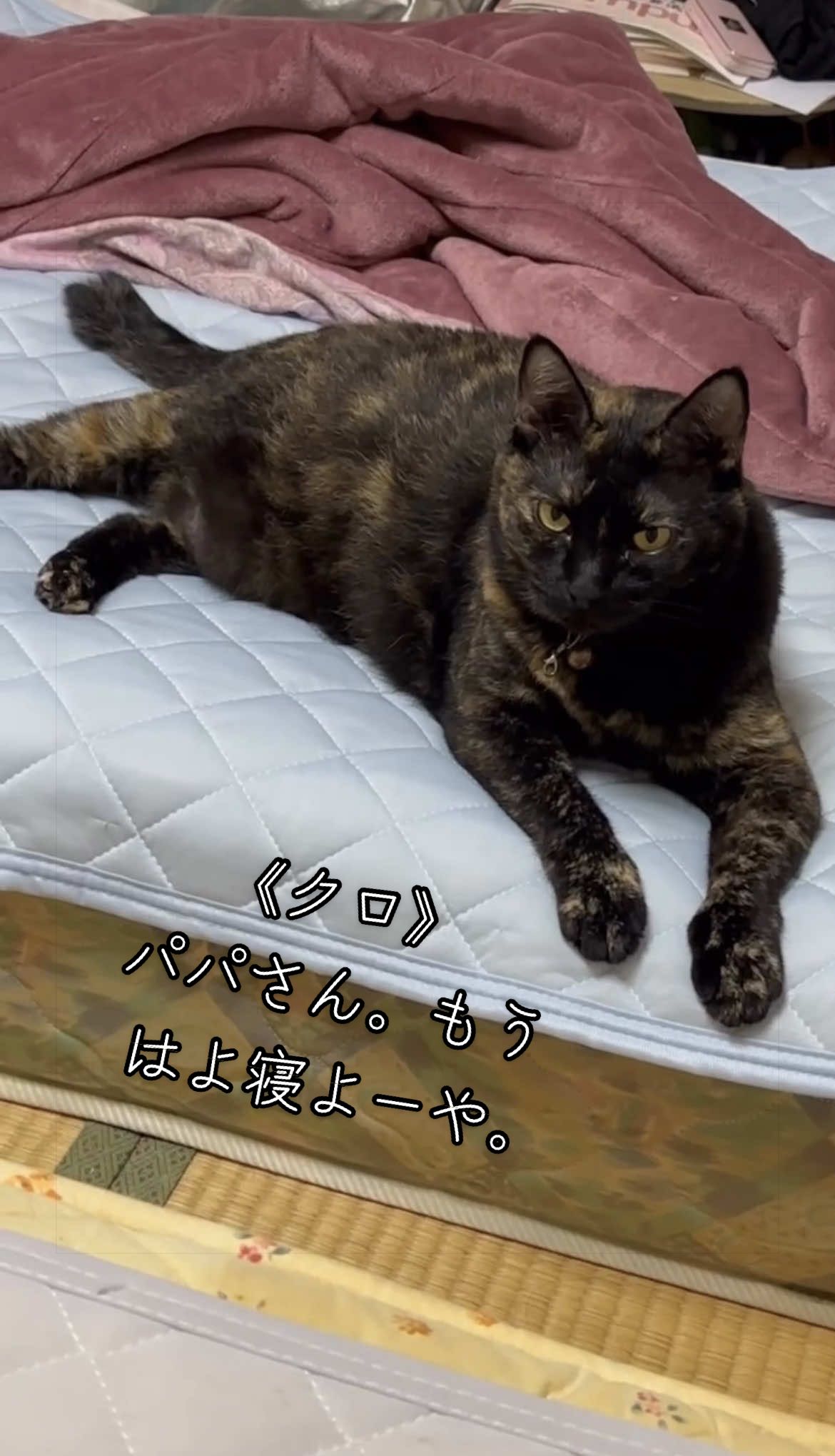 @聴々物語PROJECT