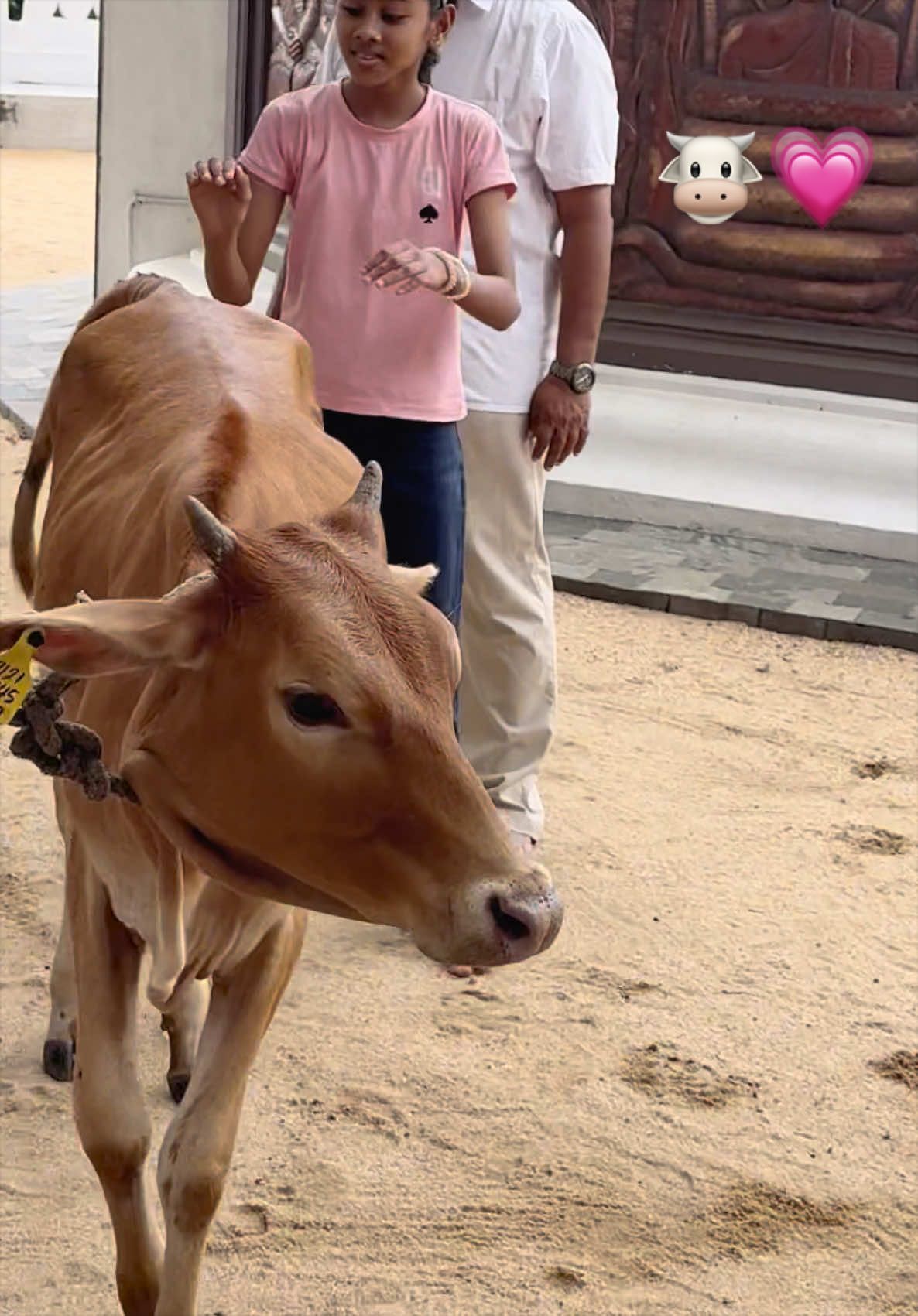 @rahulwara