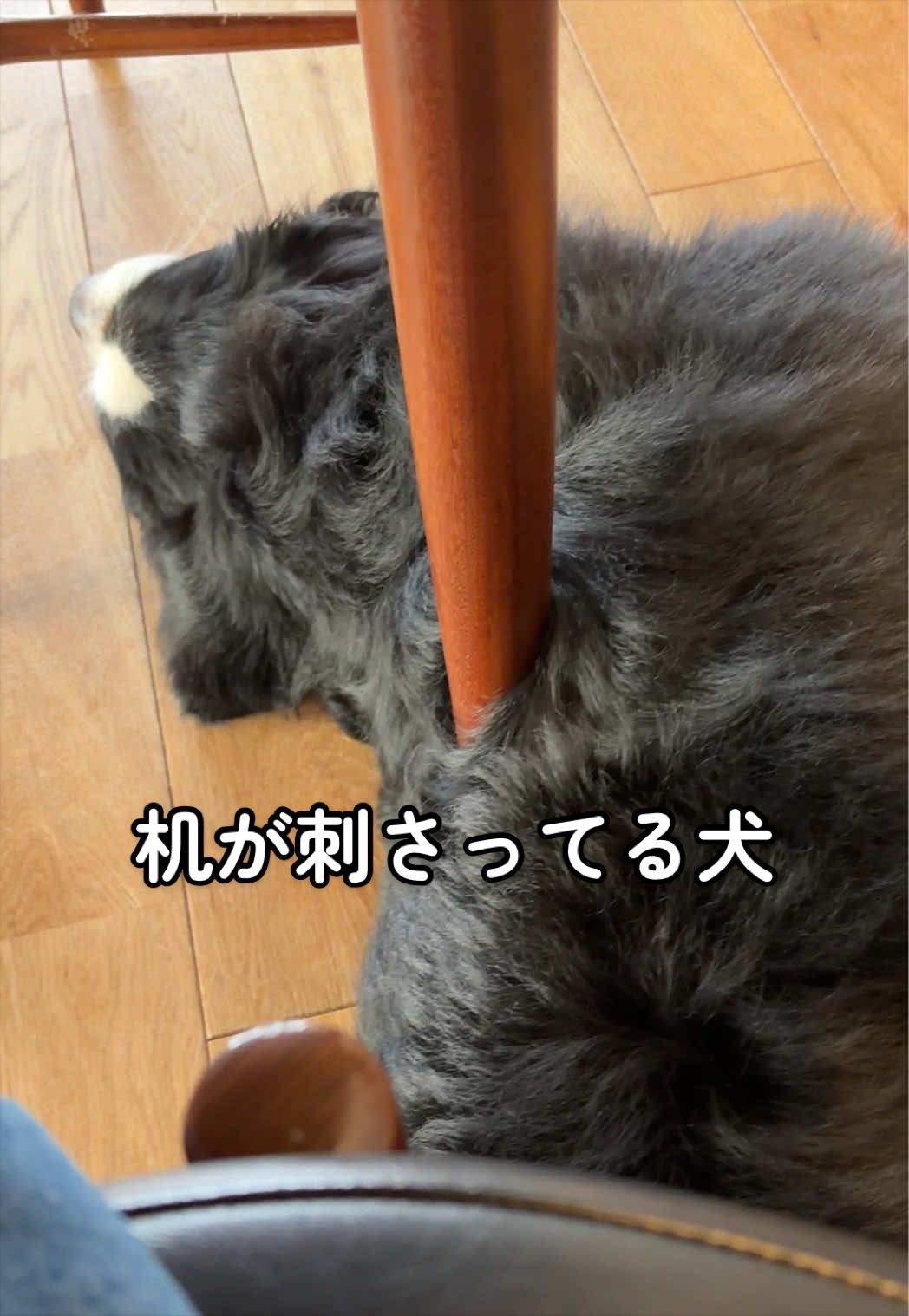 @å¯å£«å±±ð¶ð»ããŒããŒãºããŠã³ãã³ããã° - Fujisan