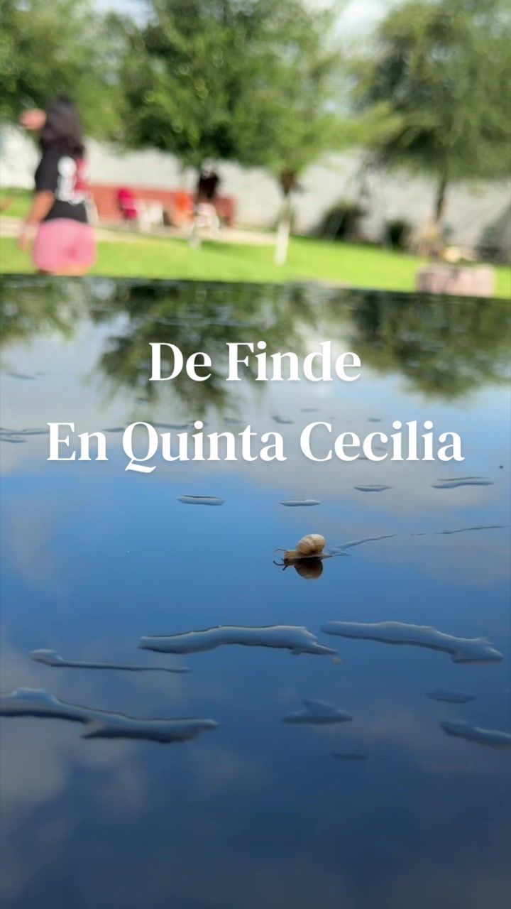 @Dev Arriaga