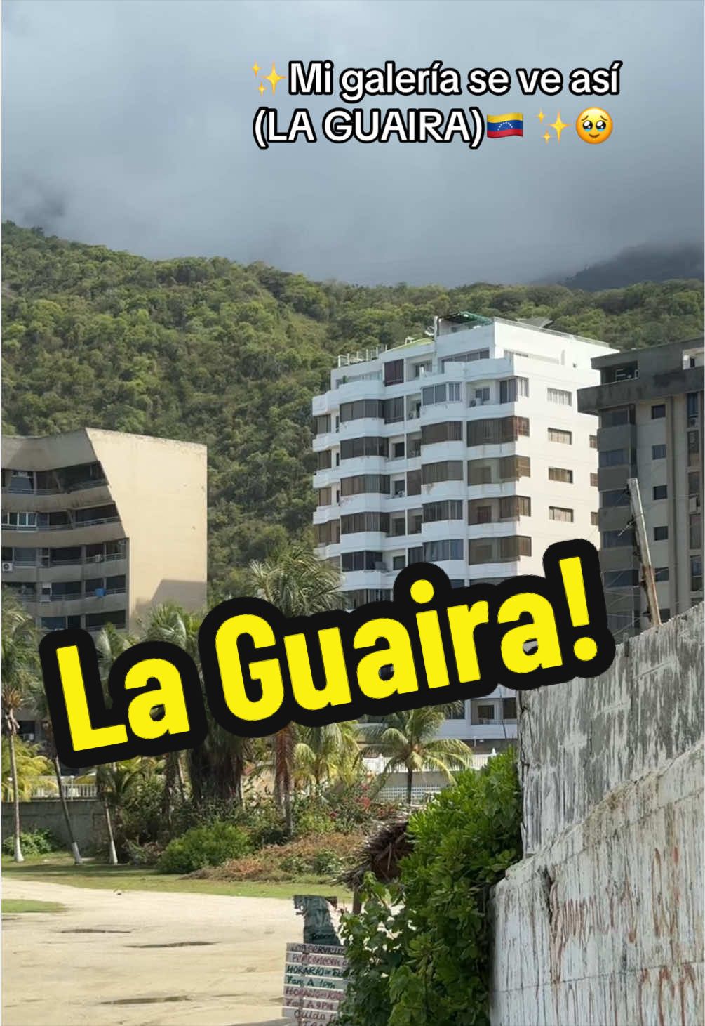 @José Valero 🇻🇪