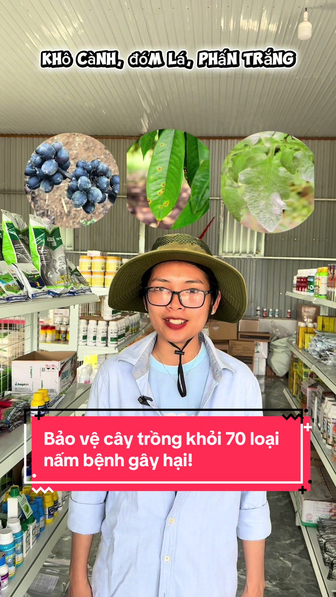 @H&acirc;n chuy&ecirc;n b&aacute;n ph&acirc;n thuốc