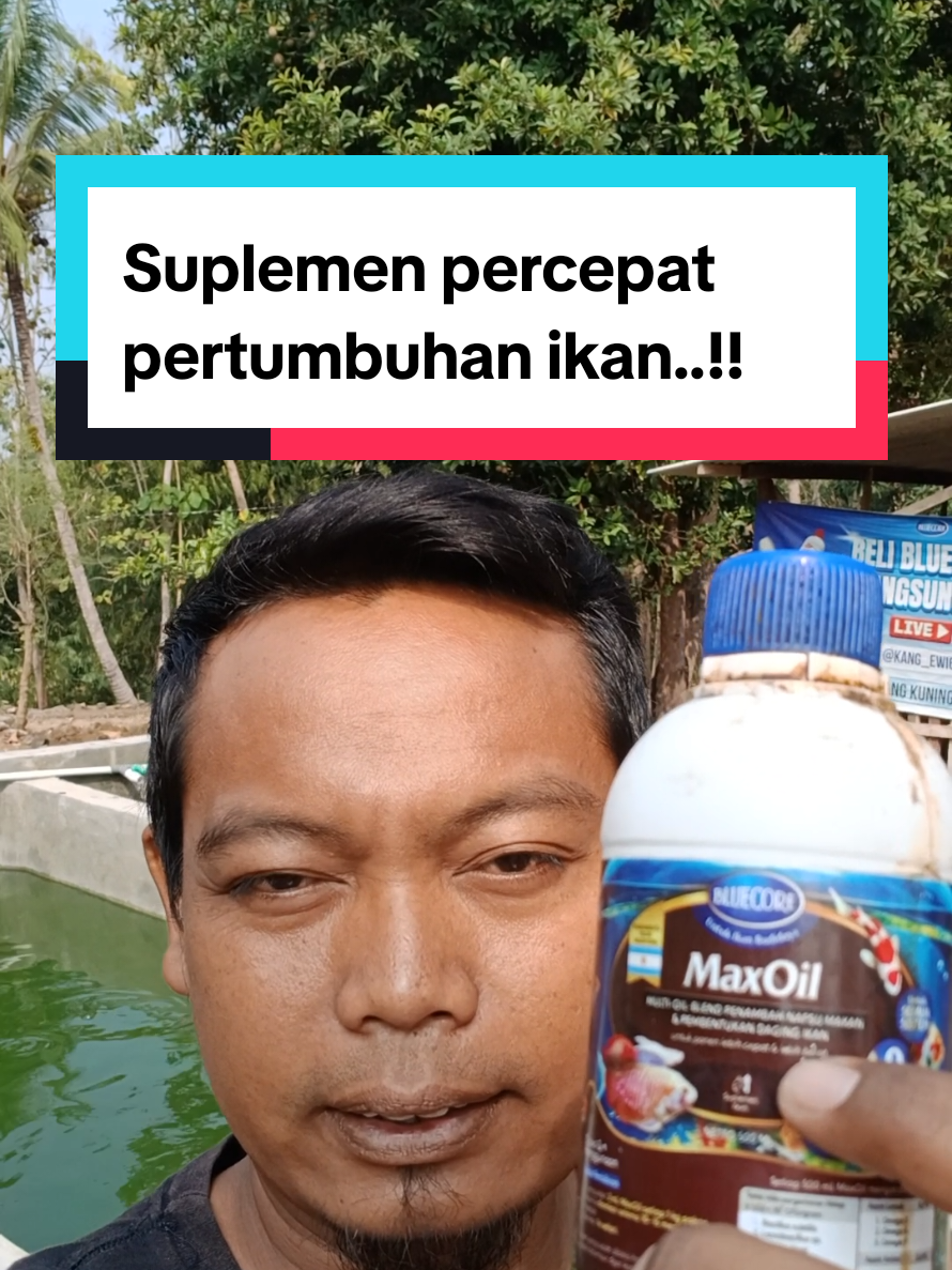 @Kang_Ewi