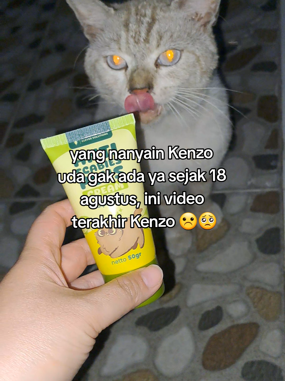 @bebymallow