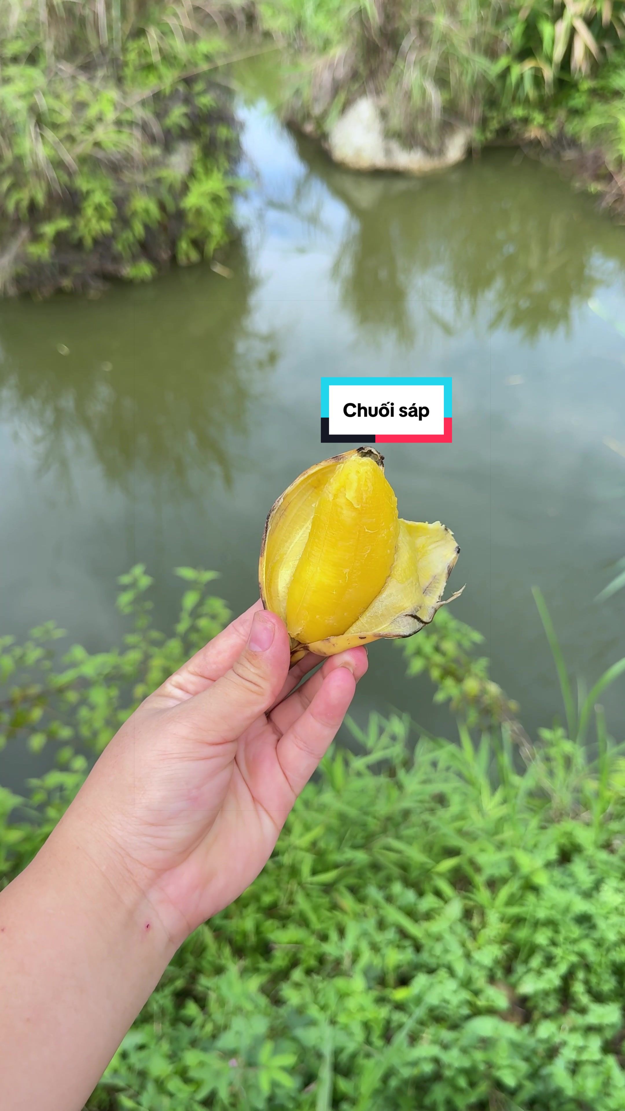 @Sức T&agrave;y