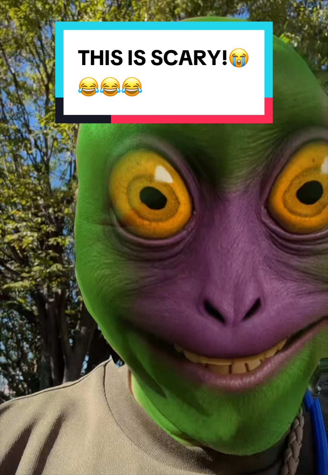 @donguri