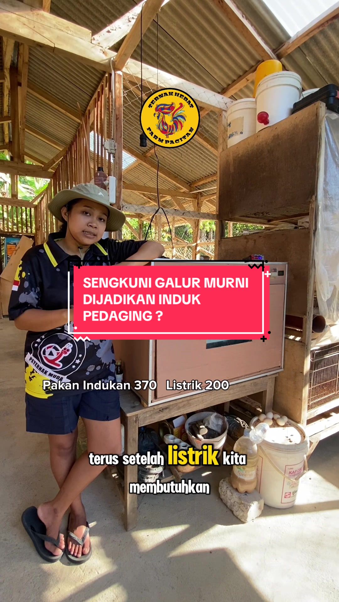 @TernakHebat