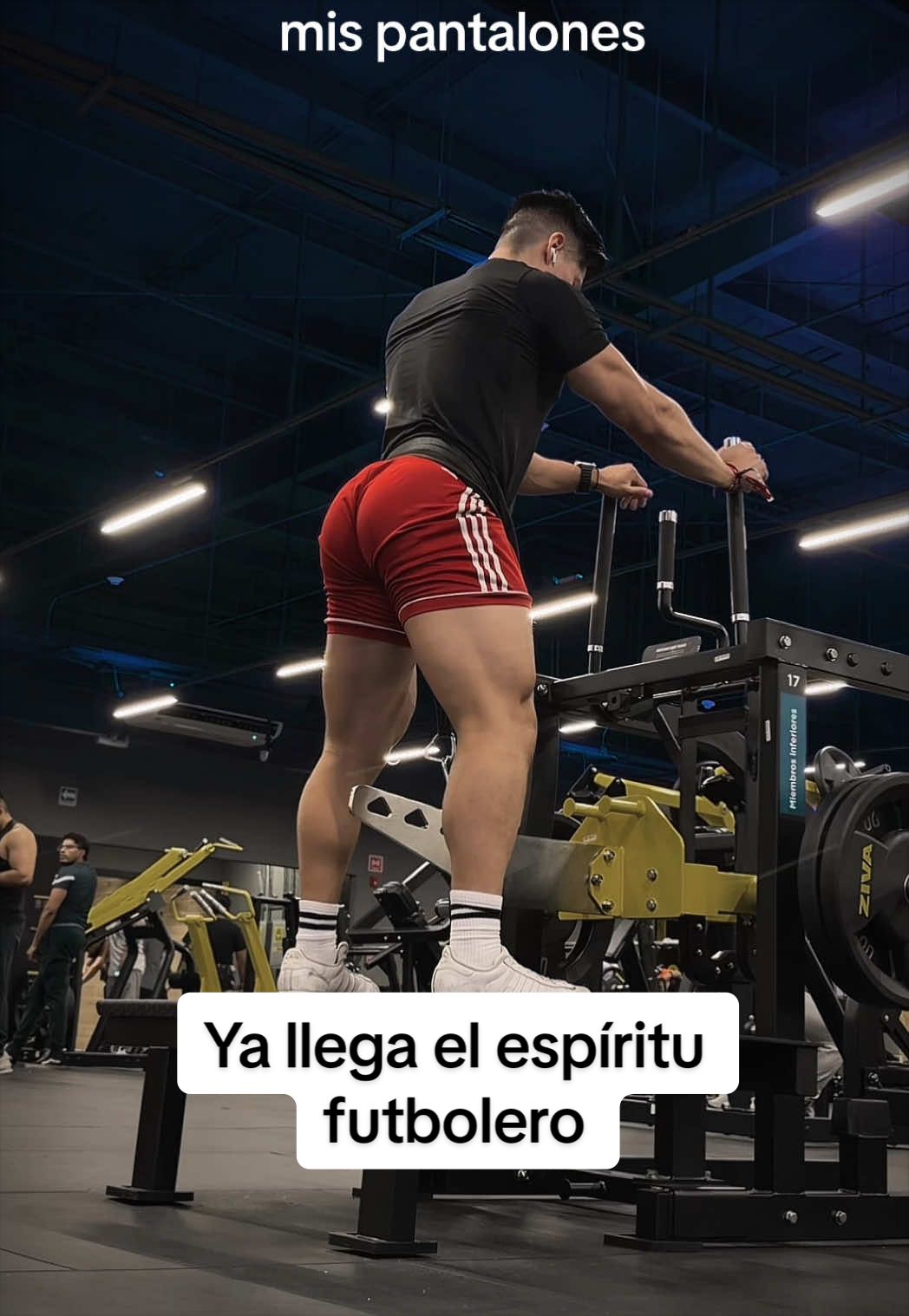 @Gibran Contreras