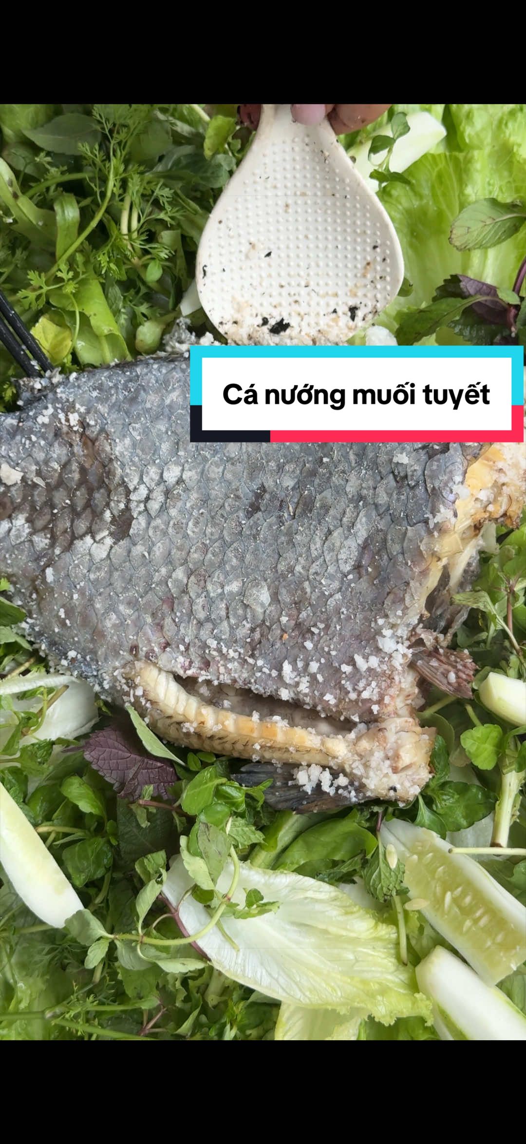 @Sức T&agrave;y