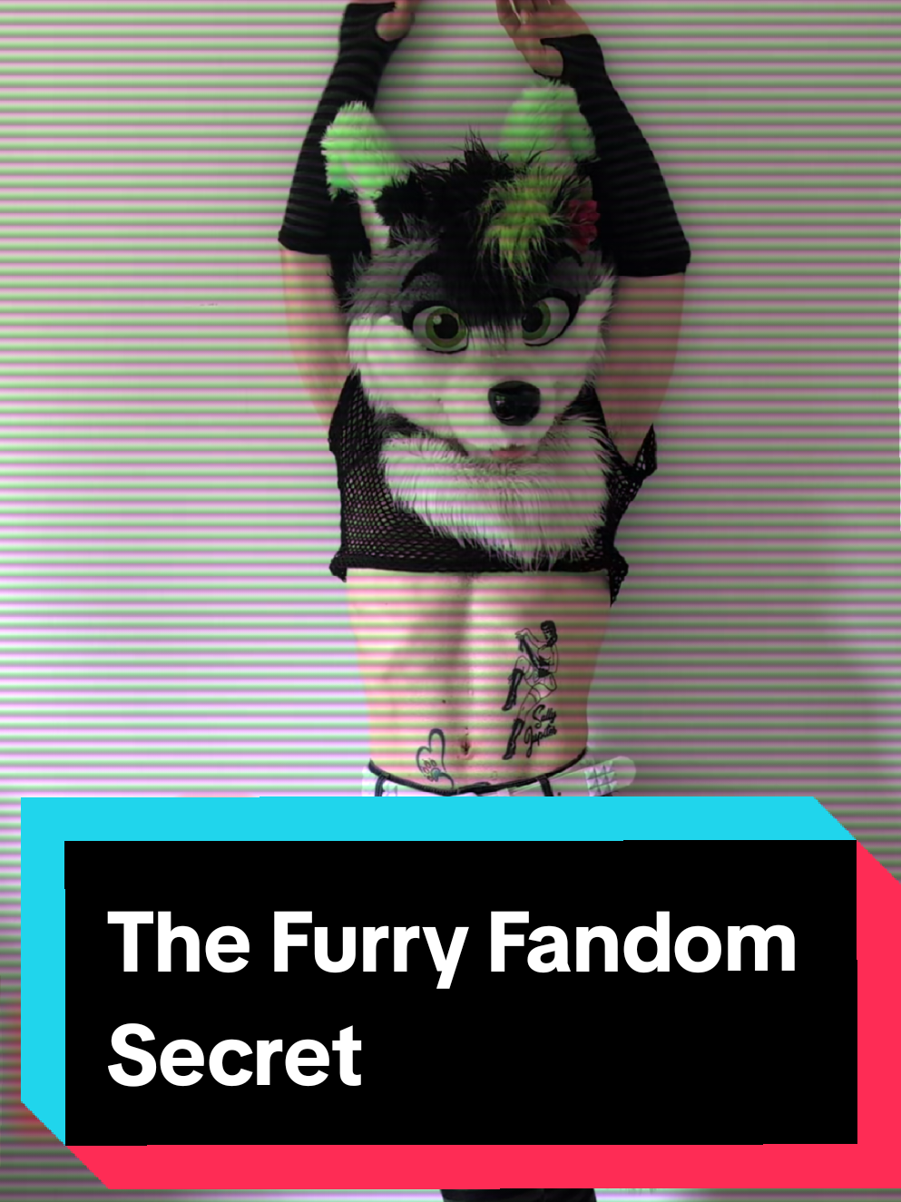 @Firefly Wolfy