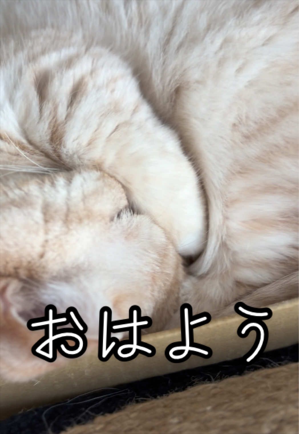 @縫くんと私
