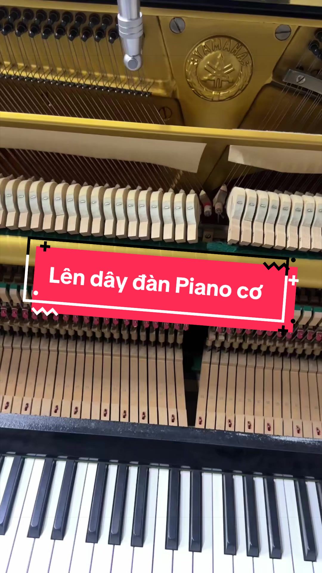 @Tr&iacute; Hiền