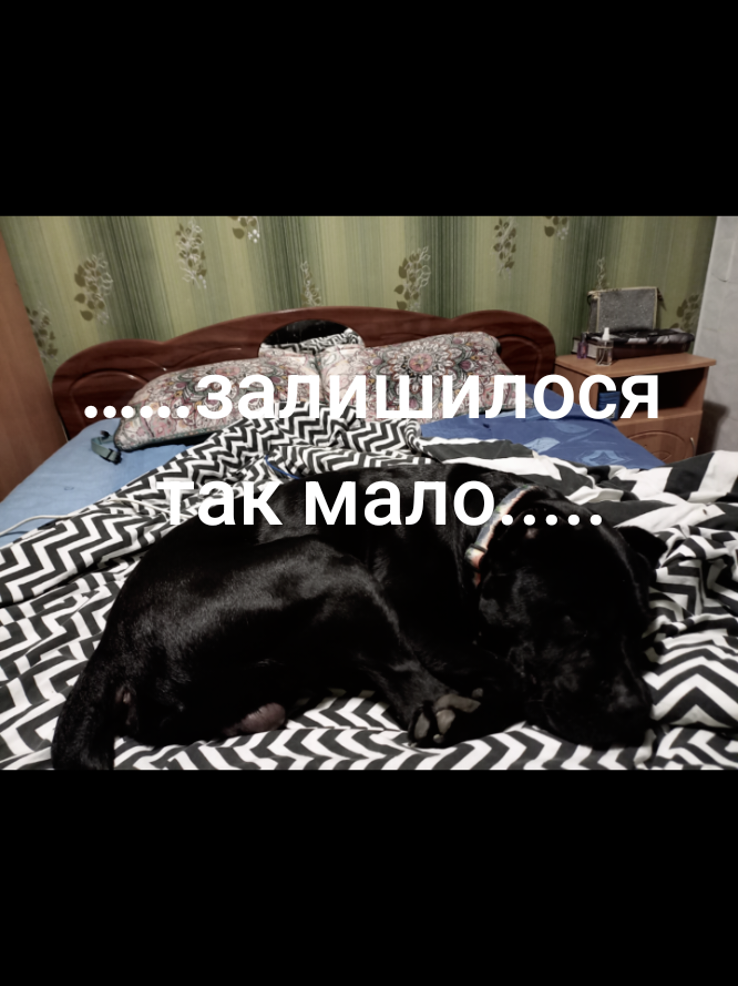 @ts