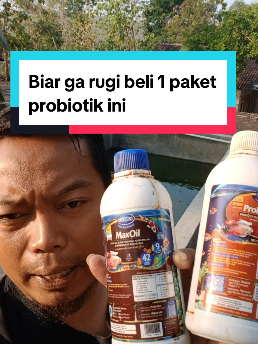 @Kang_Ewi