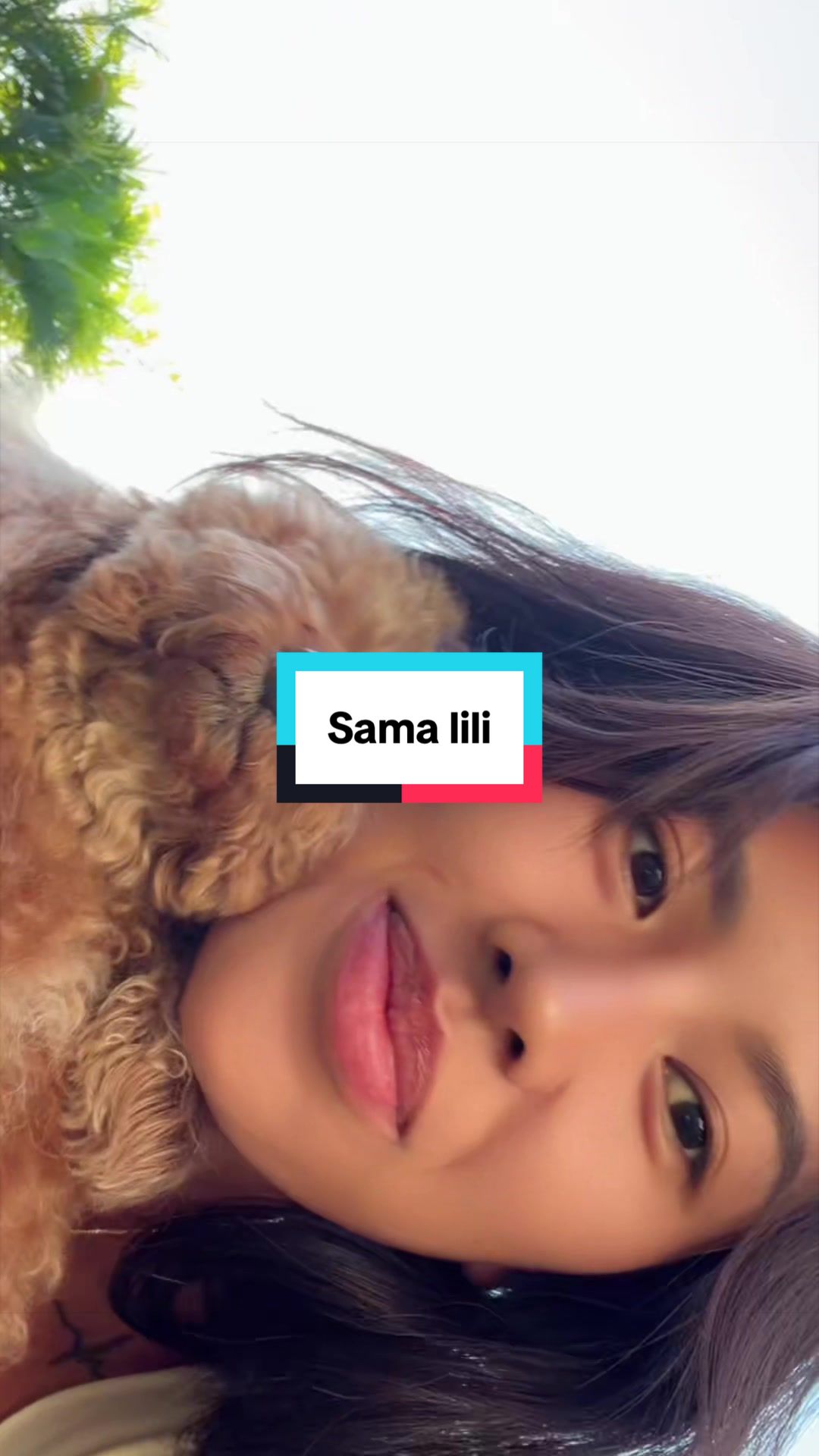 @Vanialong