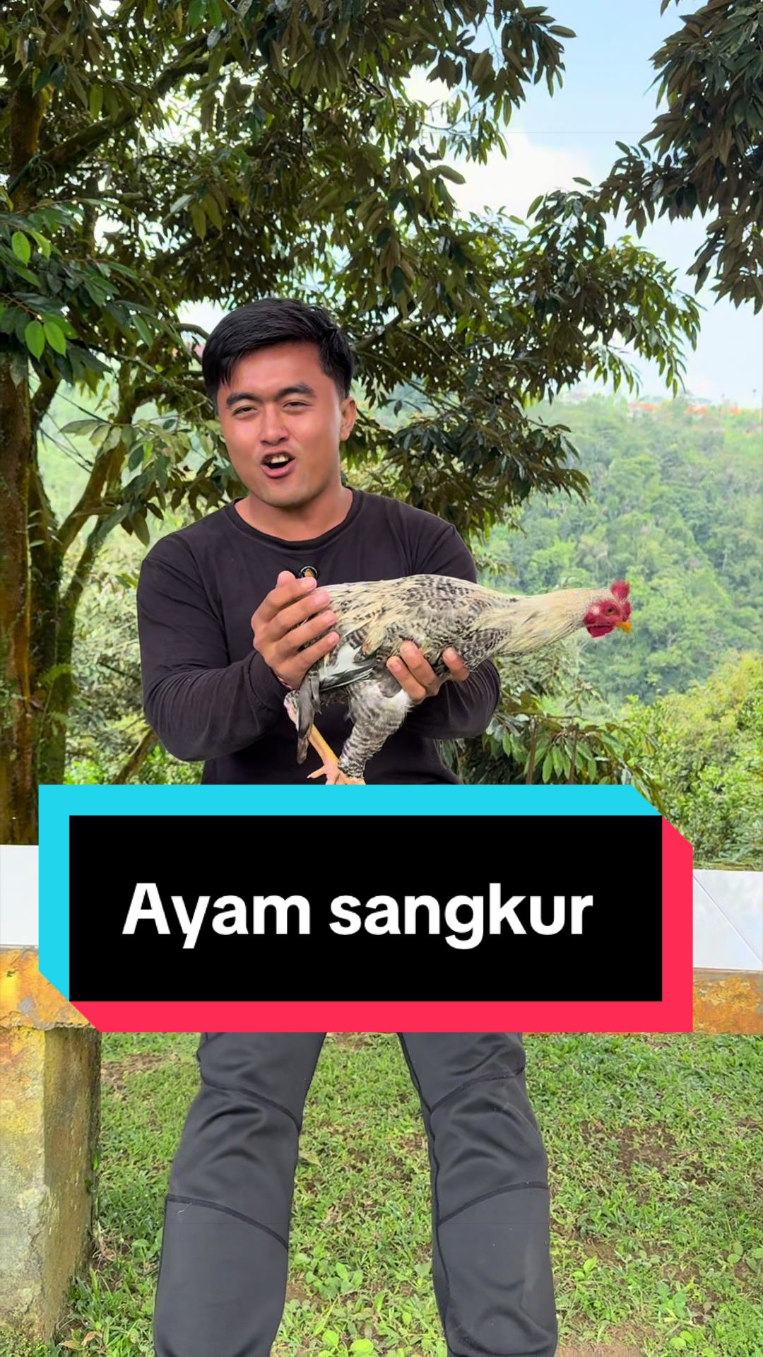 @Doni artawan