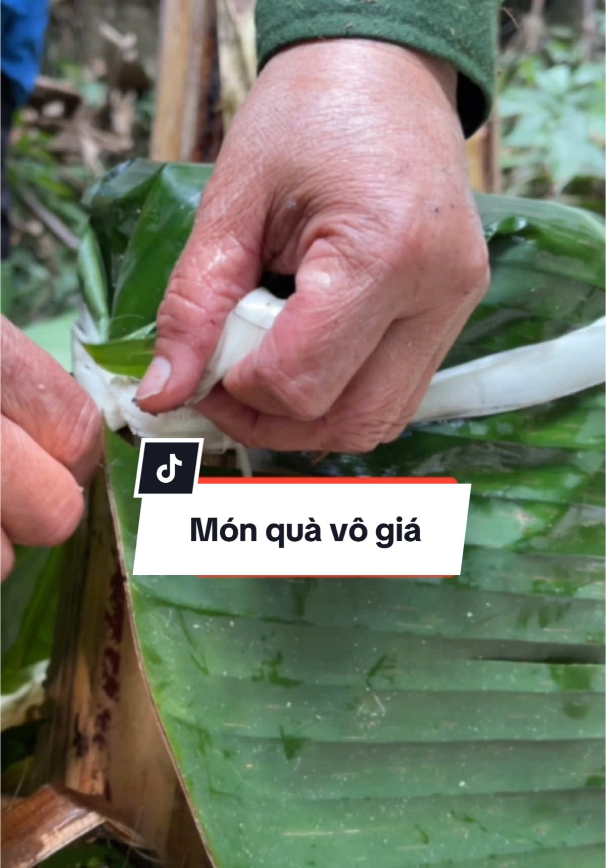@Cô Sinh Thảo dược Cao Lan