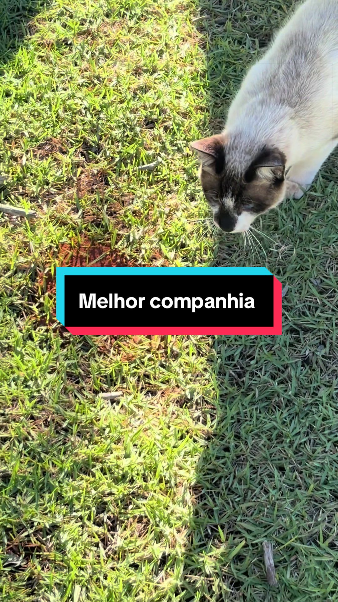 @🍀Santos🚜
