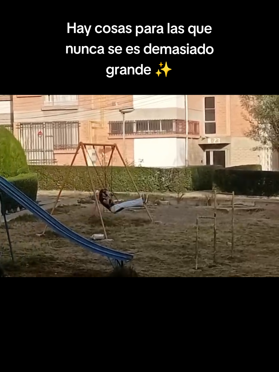 @Shofisauria 🦕