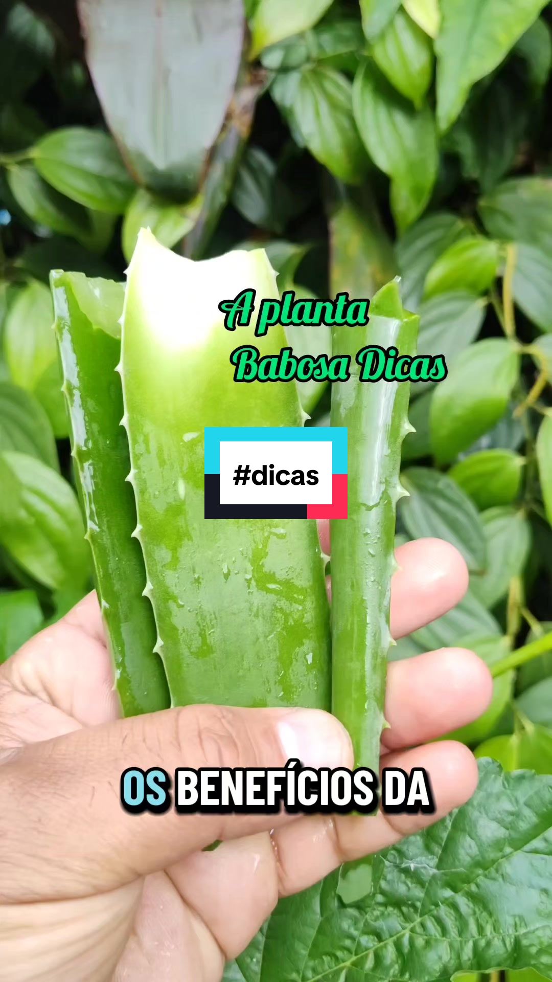@natureza e saúde