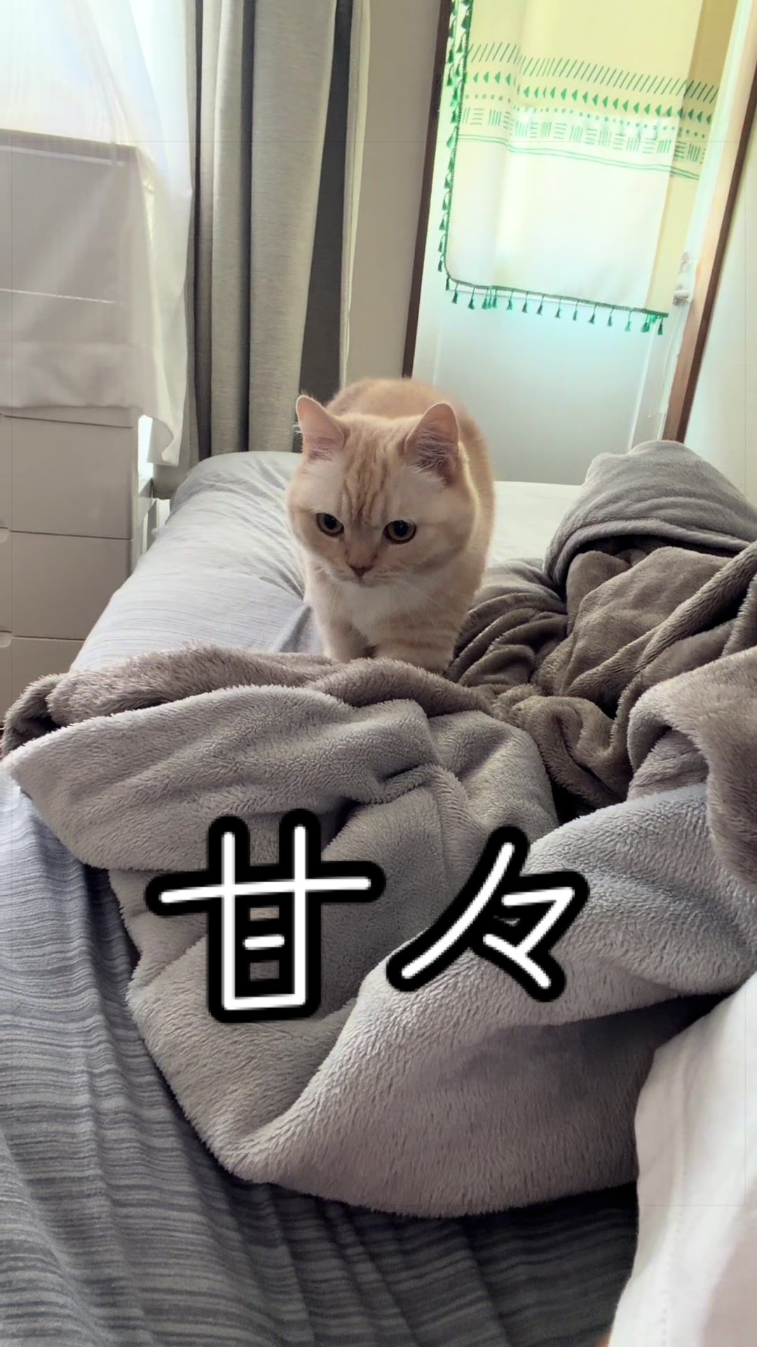 @縫くんと私
