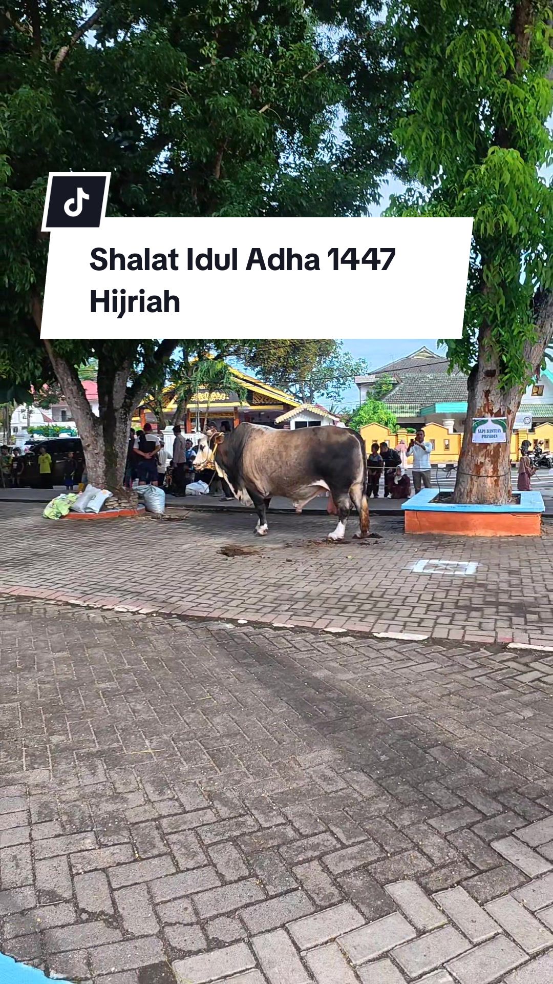 @Binjai1872
